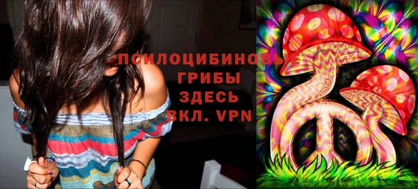 гашиш Арсеньев