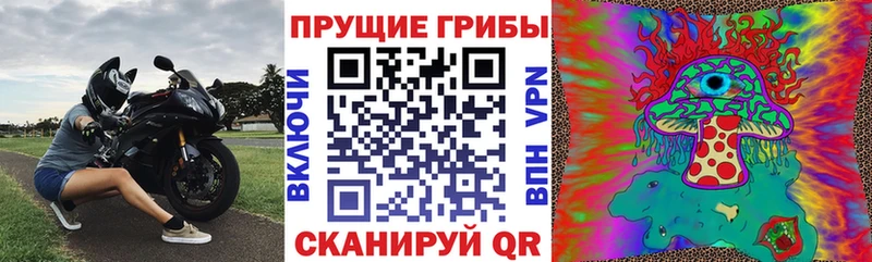 Купить где  Новосибирск  Галлюциногенные грибы Magic Shrooms 